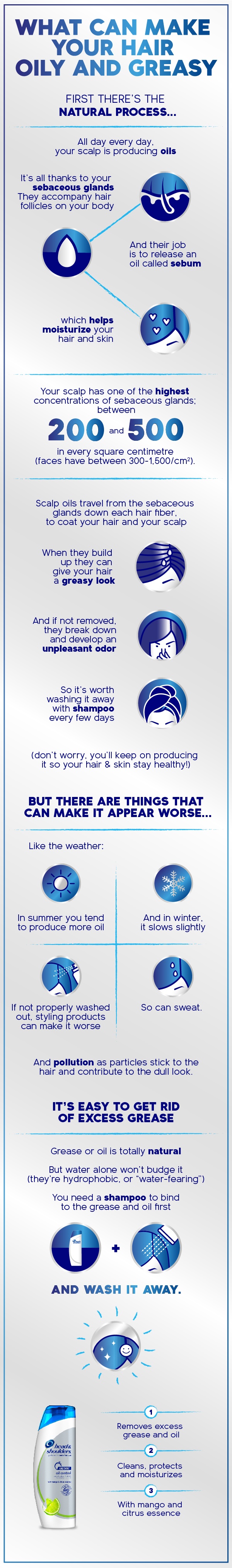image-avc-oilygreasy-hairinfographicproduct01-NE6Q3-image