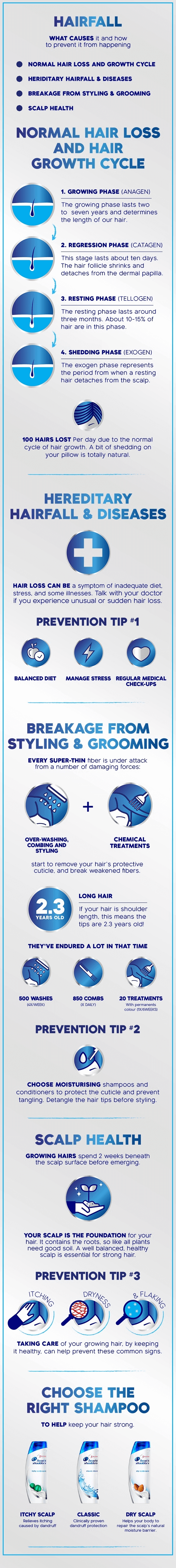 image-avc-dandruff_infographic_full_005_all-modules-N9s7G-image