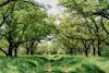 Bridging the Gap: A Green Choice for Modern Hospitality Guests and Staff