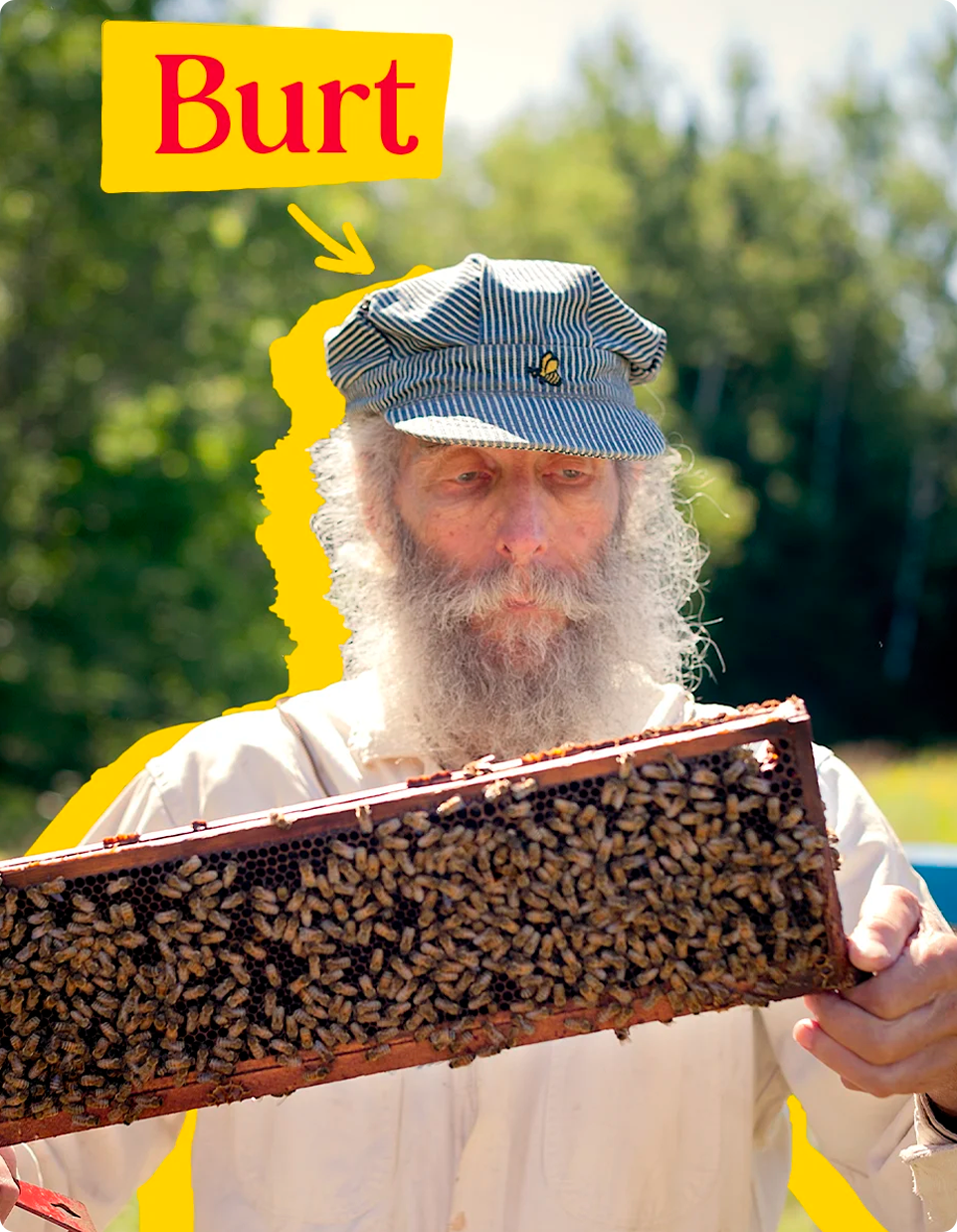 Burt in cap with bees, Burt callout above his head
