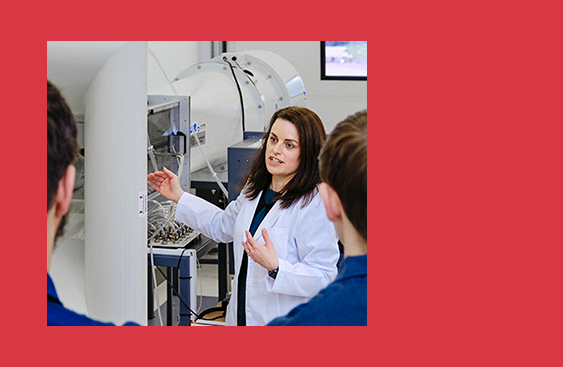 Rosa Engineer - Image Card