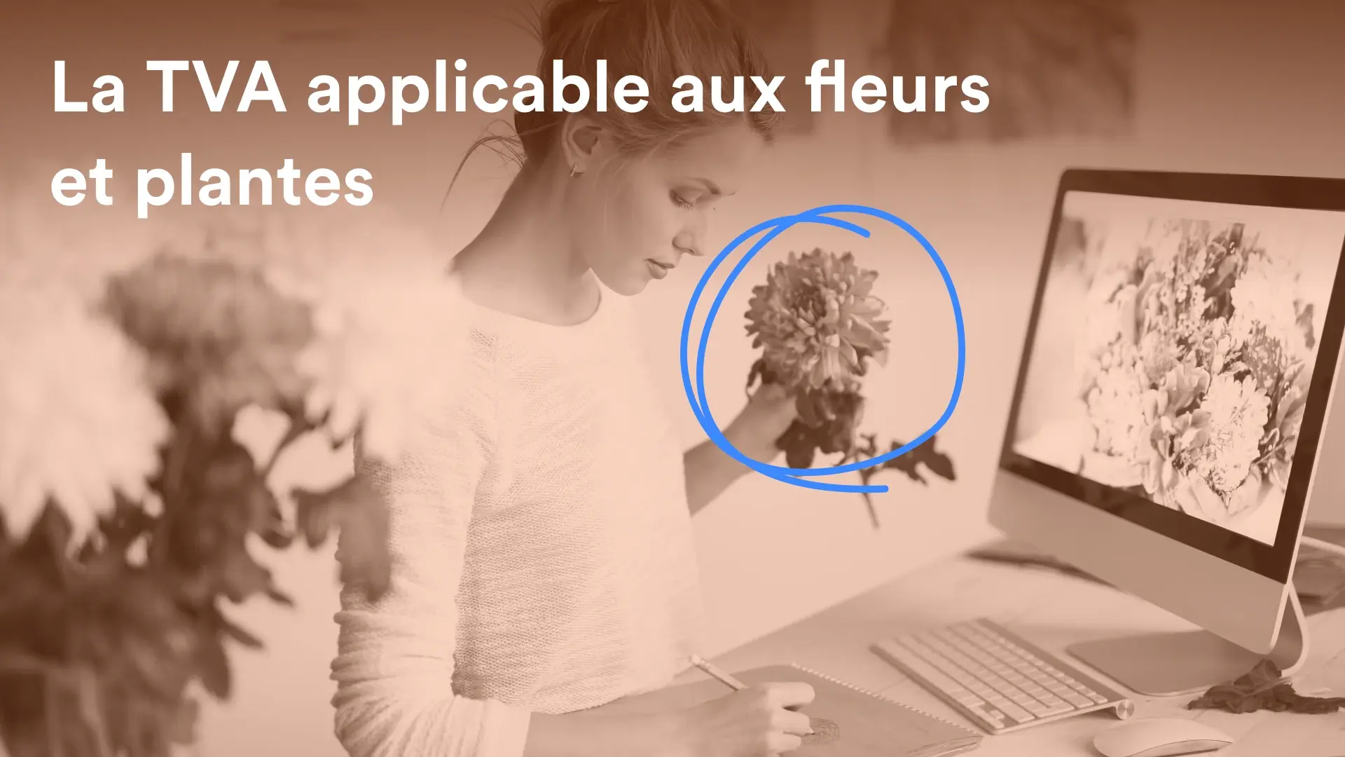 Cover article TVA applicable aux fleurs et plantes