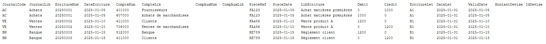 Exemple d'un fichier des écritures comptables