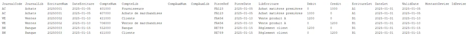 Exemple d'un fichier des écritures comptables