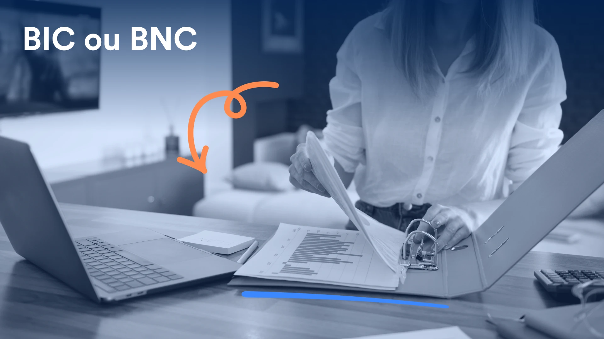 image de couverture de l'article bic ou bnc
