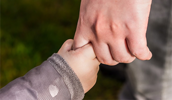 Photo de couverture de l'article