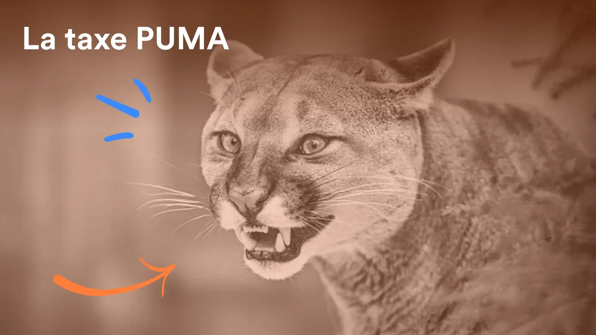 Cover article Qu'est-ce que la taxe PUMA ?