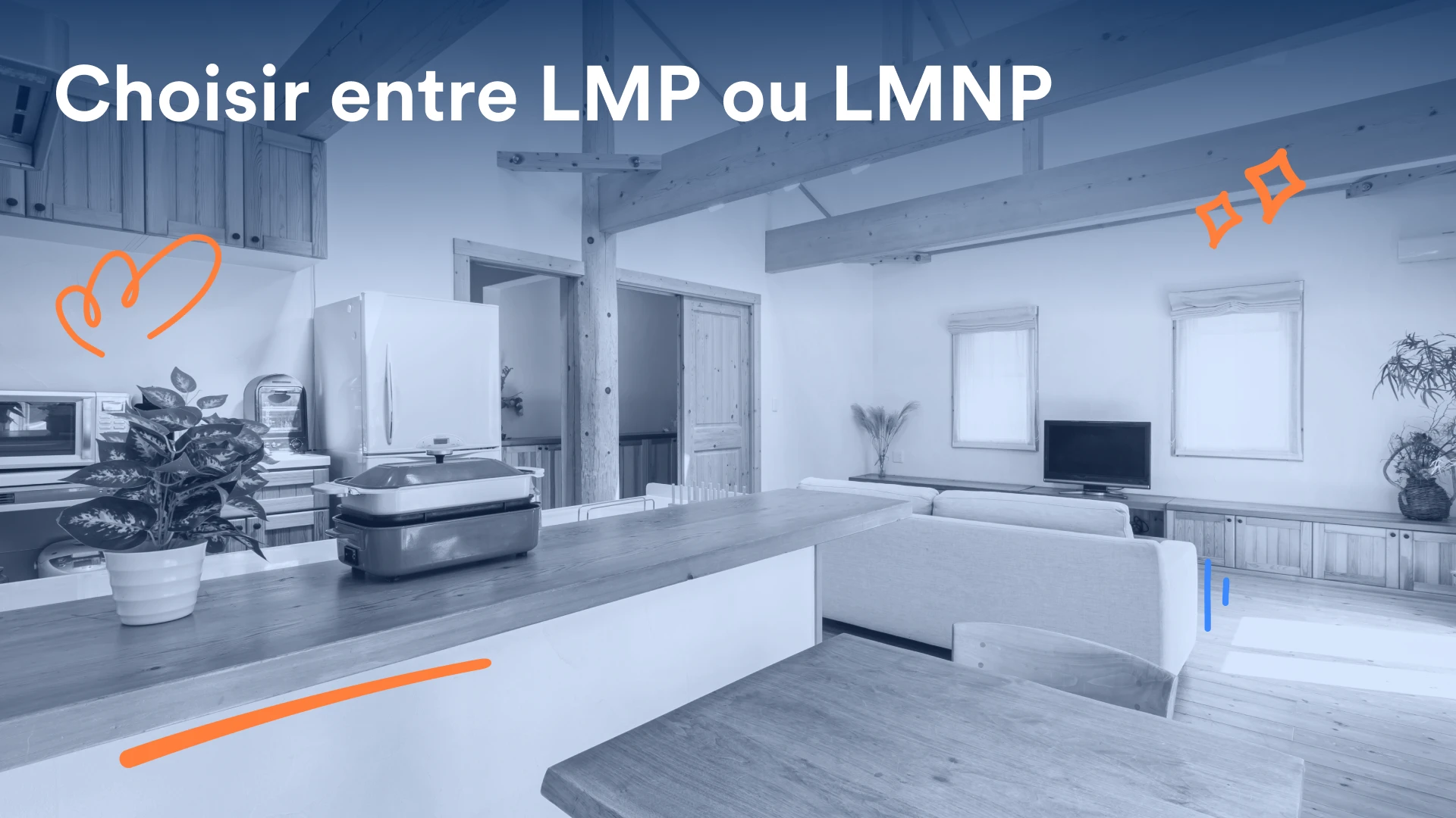 image de couverture sur l'article lmp ou lmnp