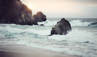 Photo de couverture de l'article