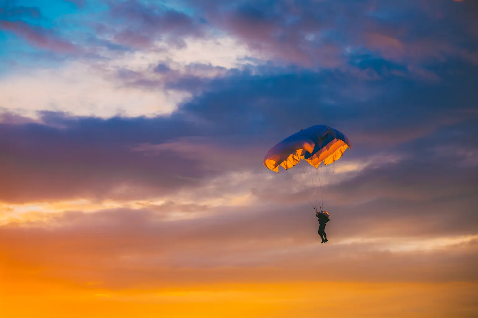 Photo de couverture de l'article