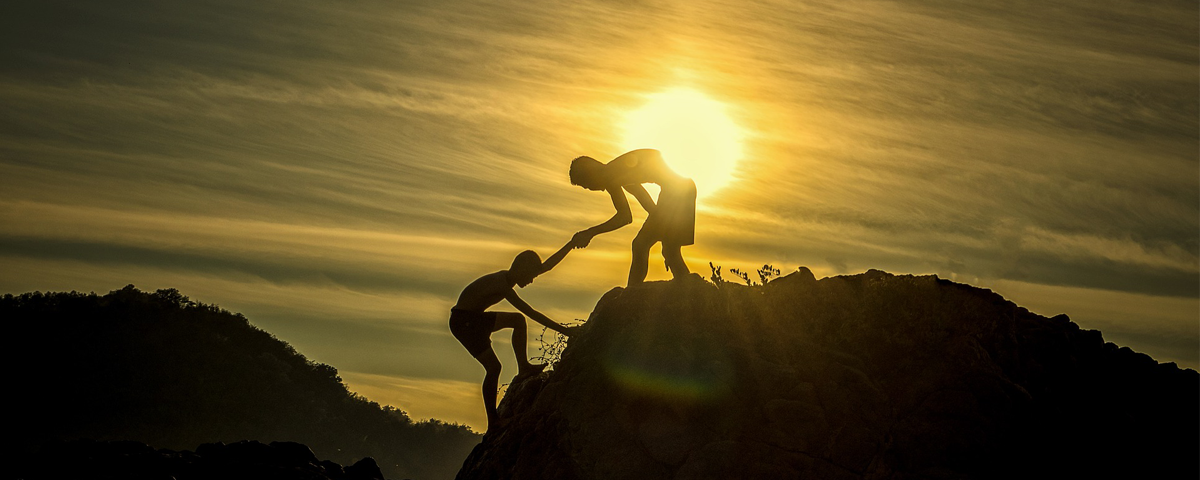 Photo de couverture de l'article