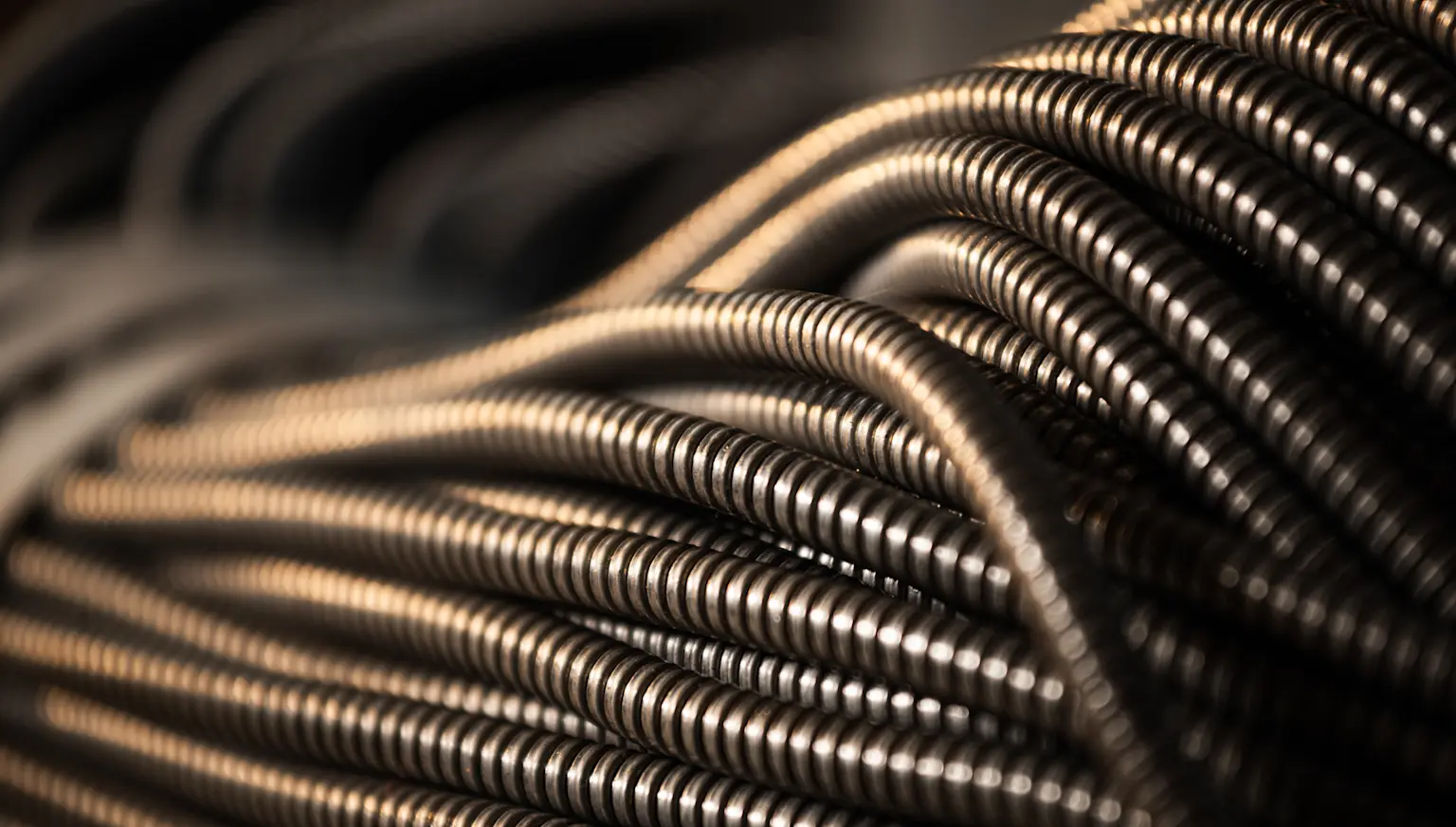 Photo de couverture de l'article