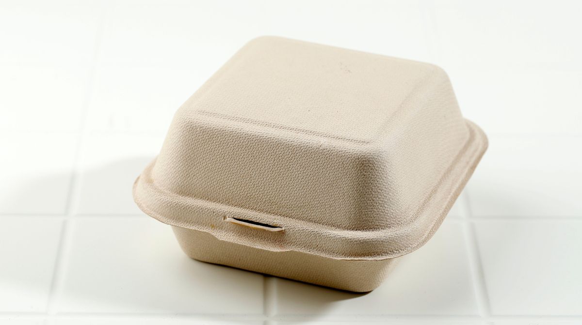 biodegradable to-go box