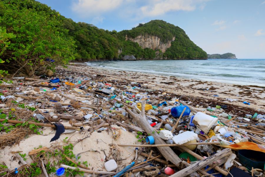  plastic waste on beach