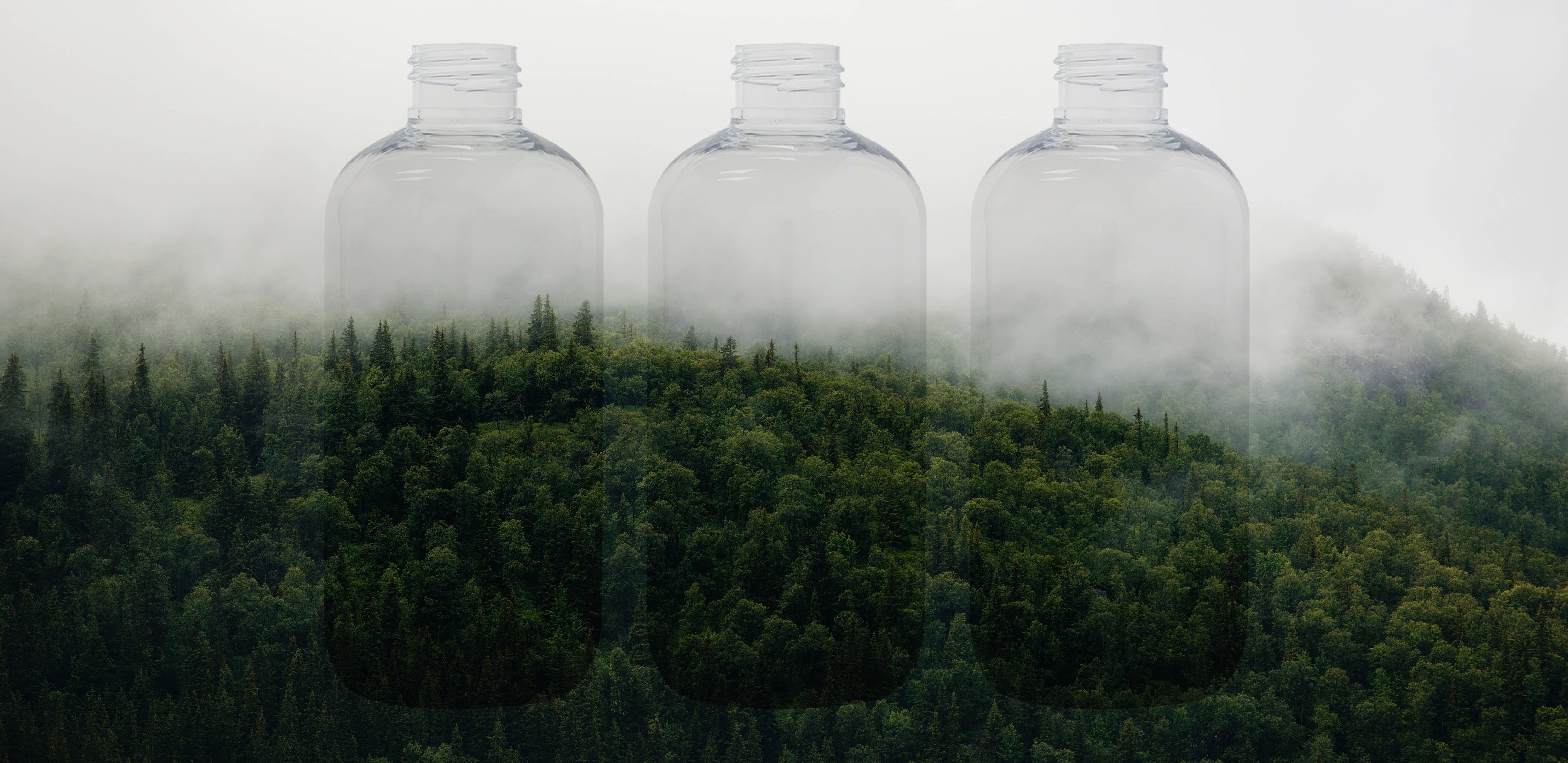 Clear Bottles Overlay on Forest Landscape