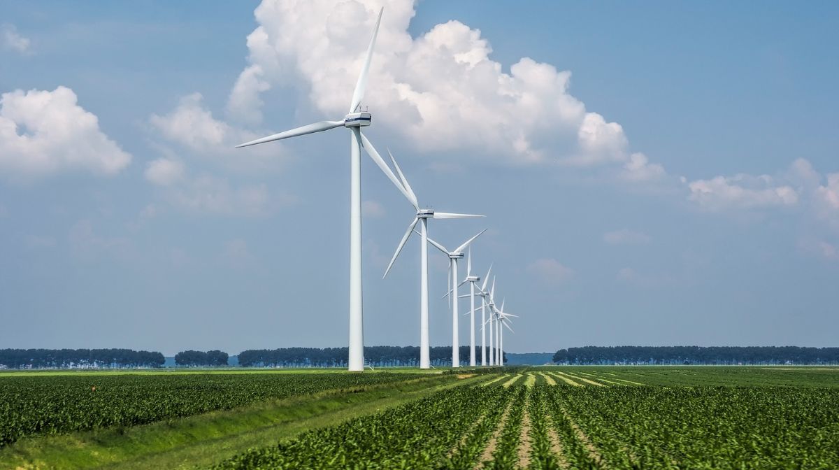 wind turbines sourcing renewable energy