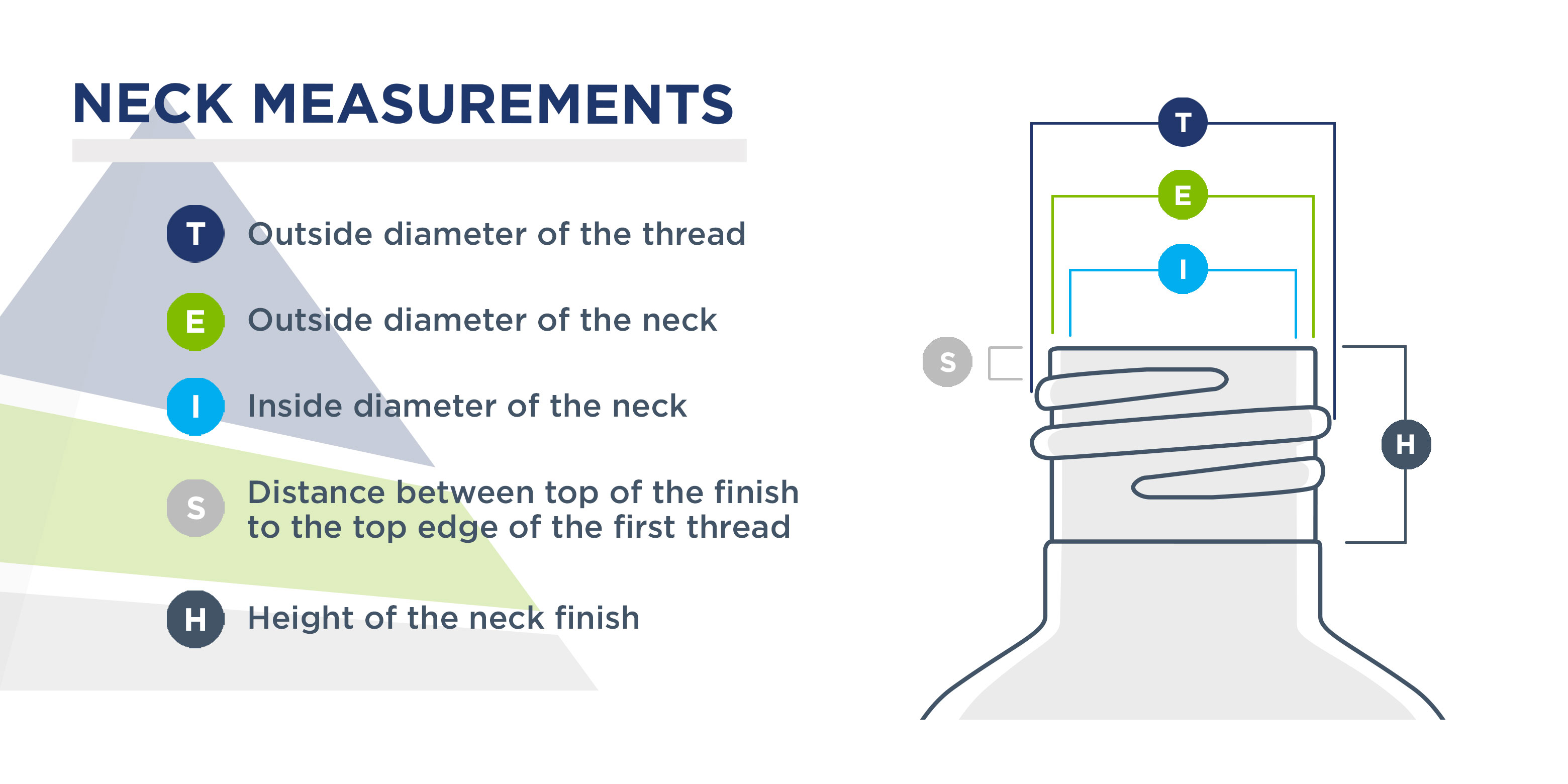 Neck-Measurements