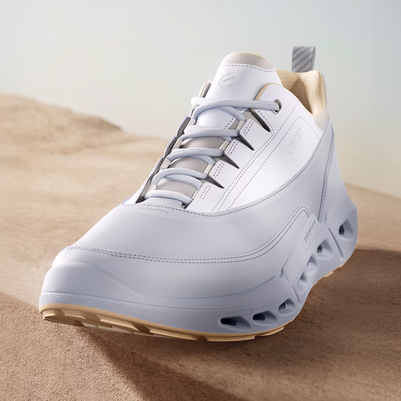 3teaser W-Biom720-gtx-B