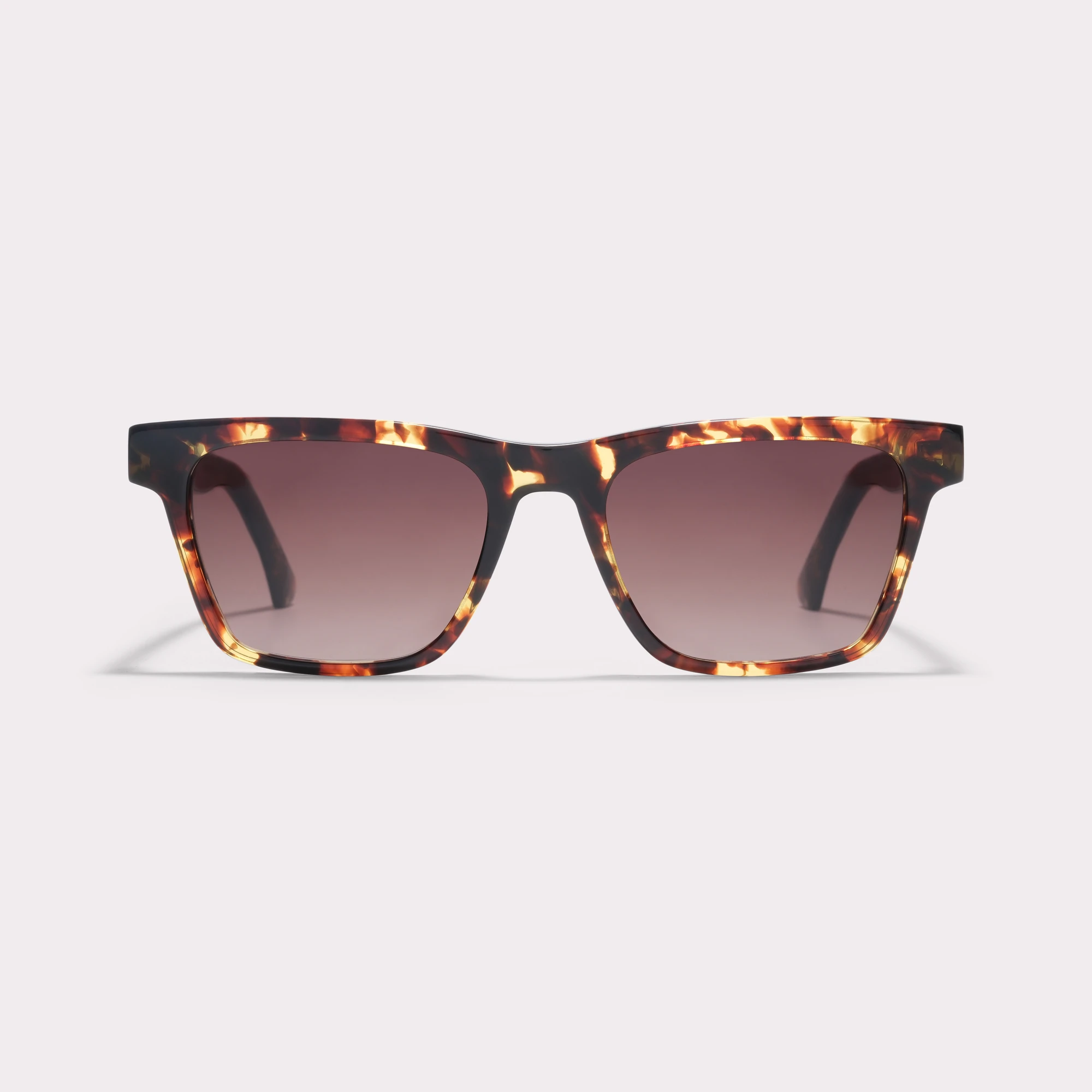 Davis, premium acetate sunglasses – Mixed model | Nooz Optics