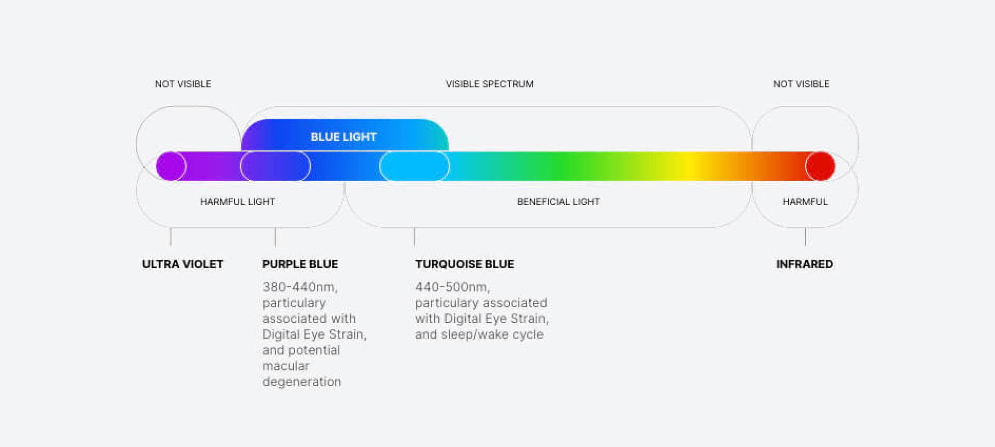 Was ist blaues Licht und wie wirkt es sich auf uns aus? - Licht-Erlebnisse  Magazin