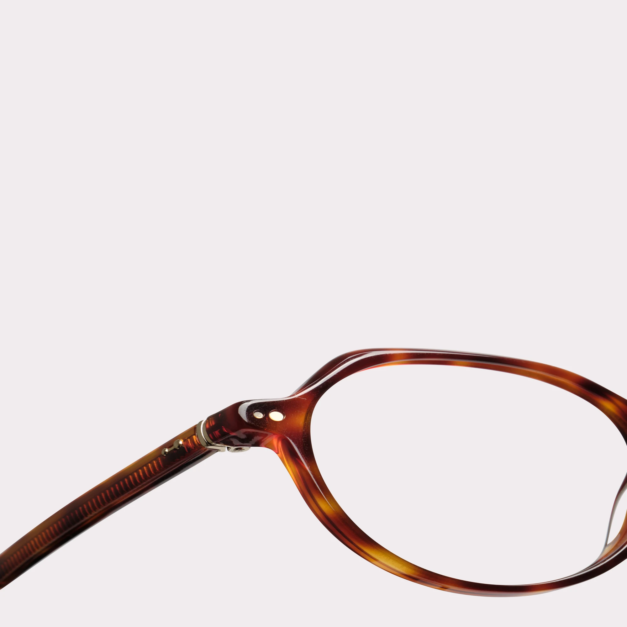 Ein Paar Gaya Tortoise Lesebrille in der Makroansicht