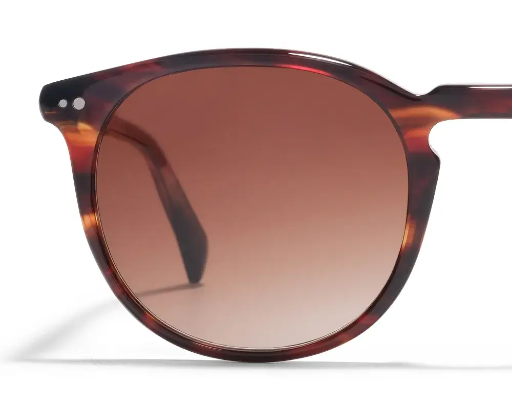 NOOZ sunglasses - Carl - Acetate sunglasses. Mixed model. | Nooz