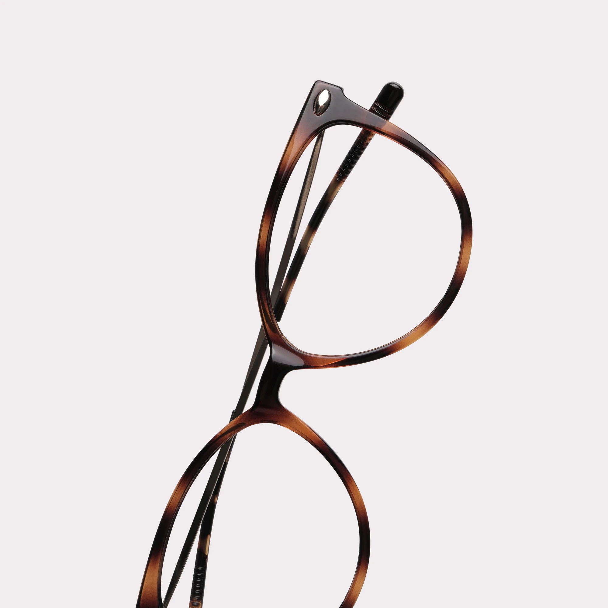 Ein Paar Ivy Tortoise Lesebrille in der Makroansicht