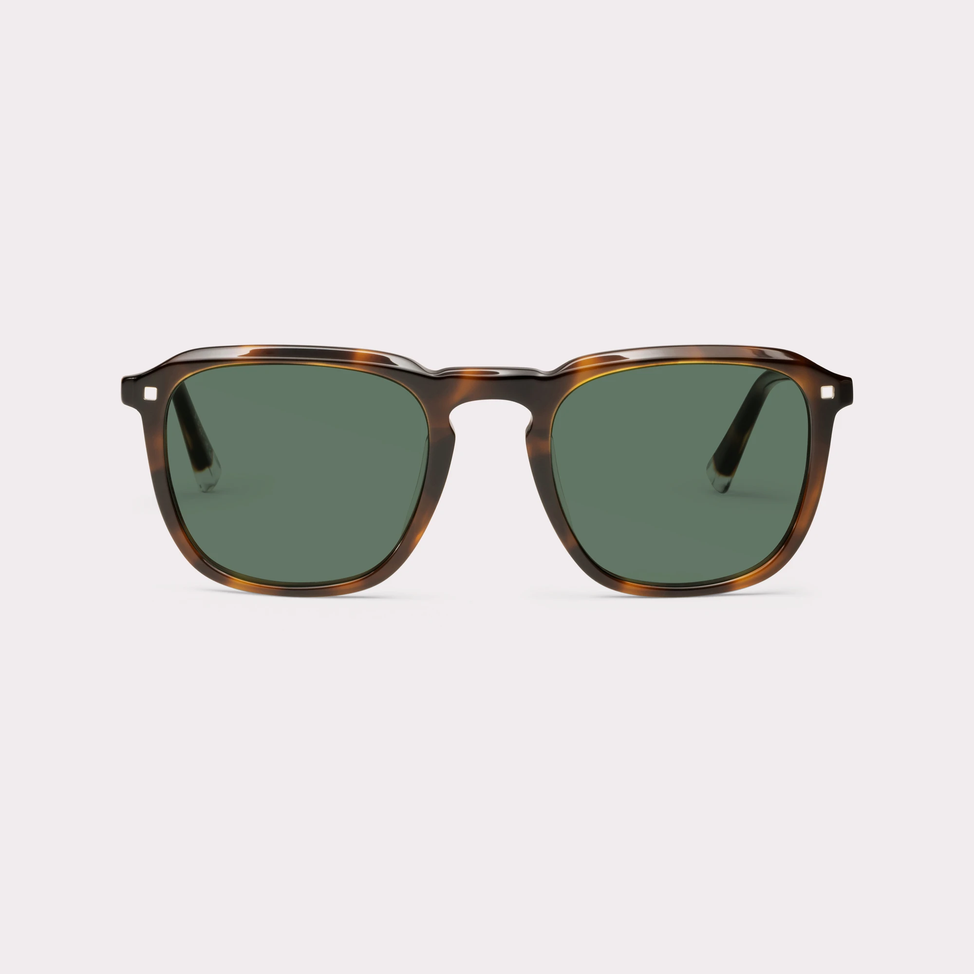 Une paire de Carmen Tortoise Lunettes de soleil vue de face
