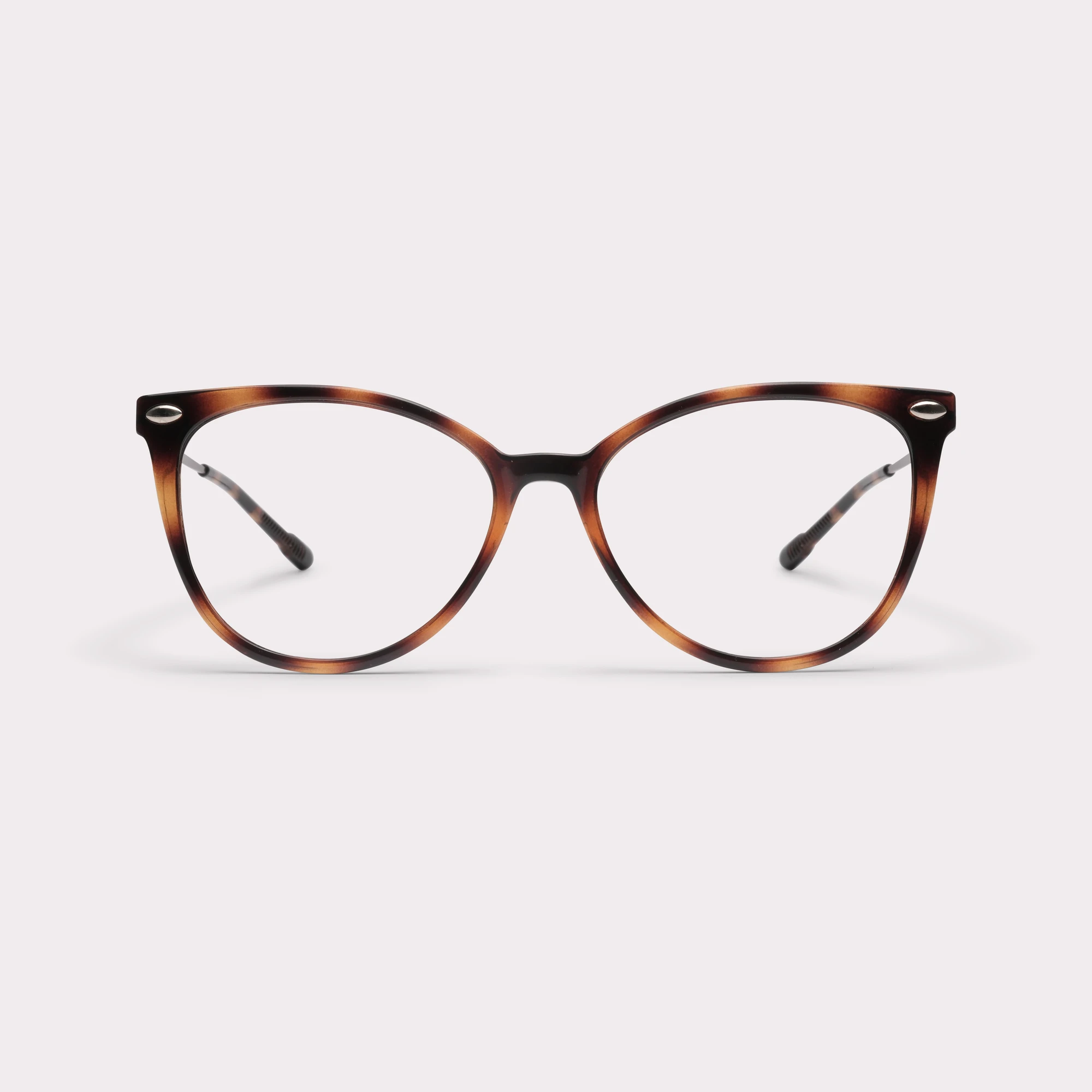 Ein Paar Ivy Tortoise Lesebrille , von vorne gesehen