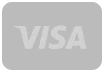 Logo Visa