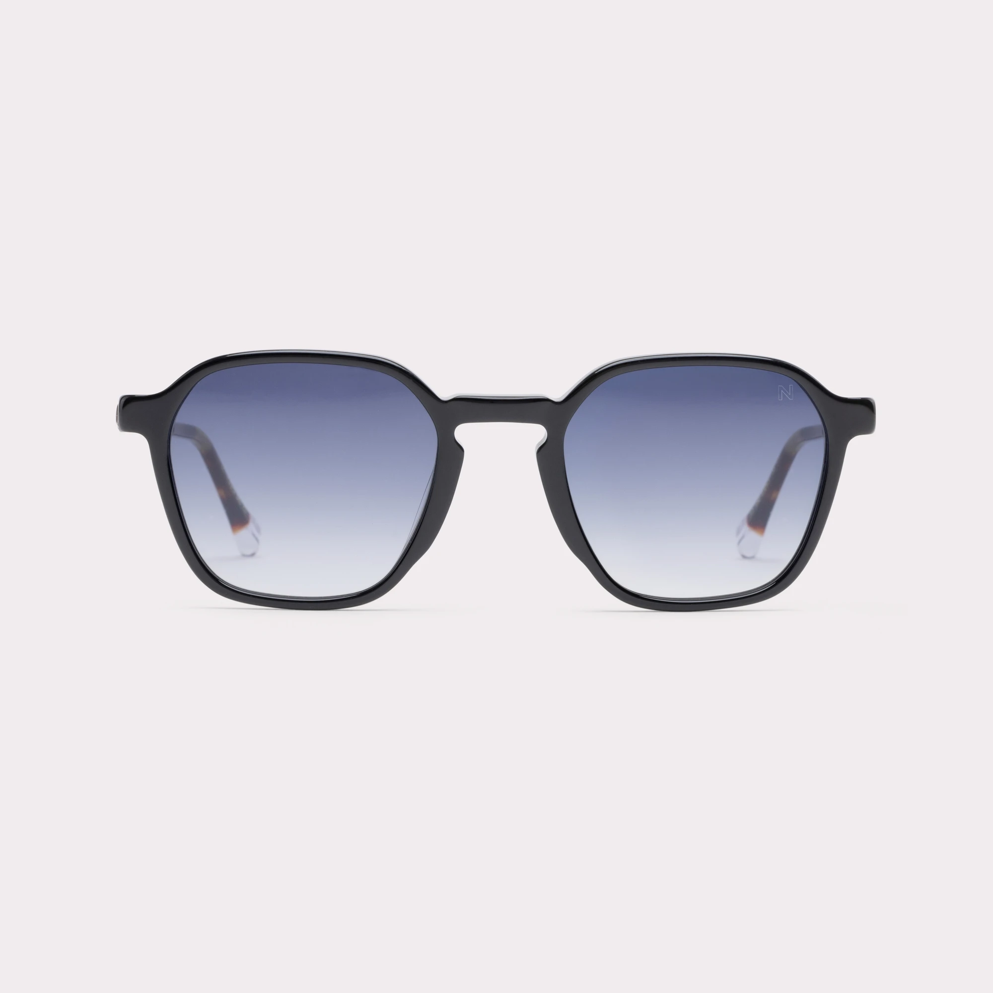 A pair of Aaron Black Sunglasses seen from the front