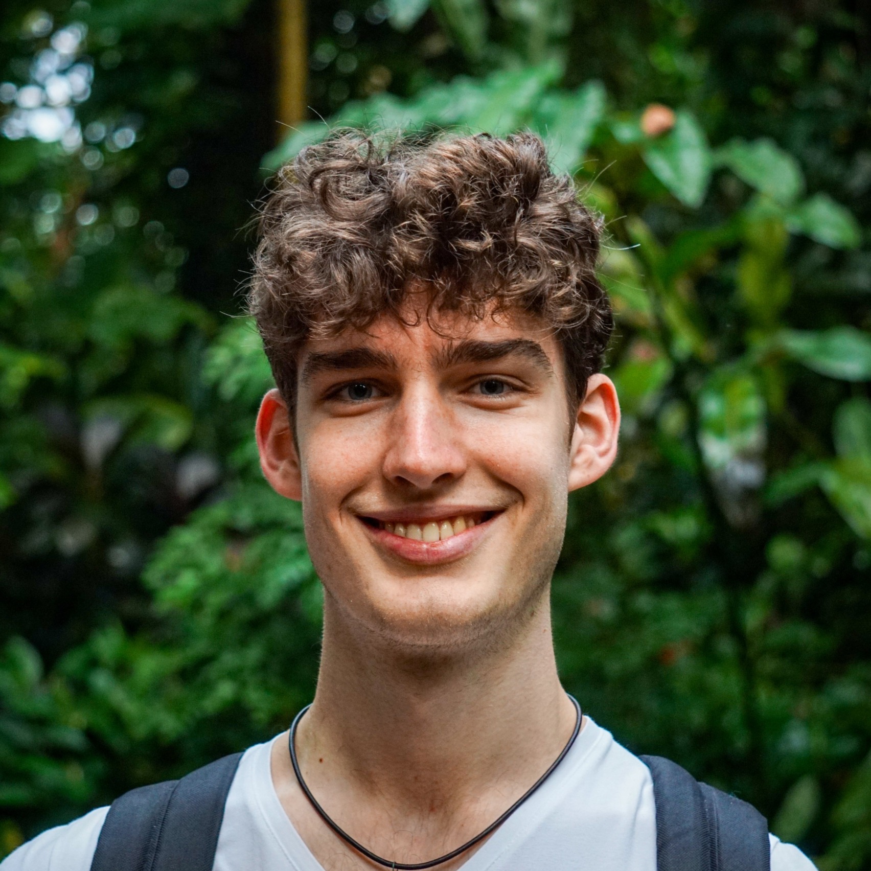 Sem avatar