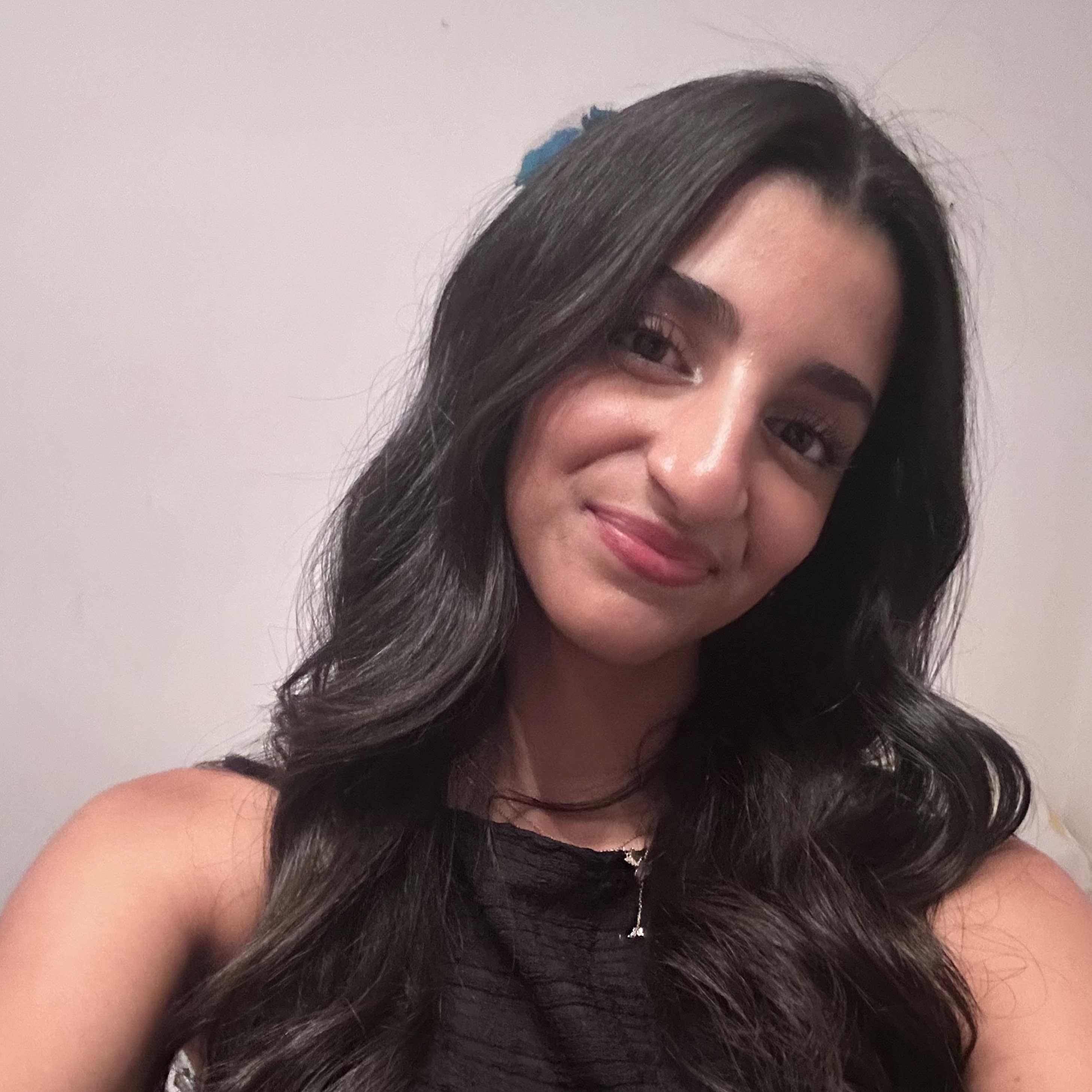 Lara Mohamed avatar