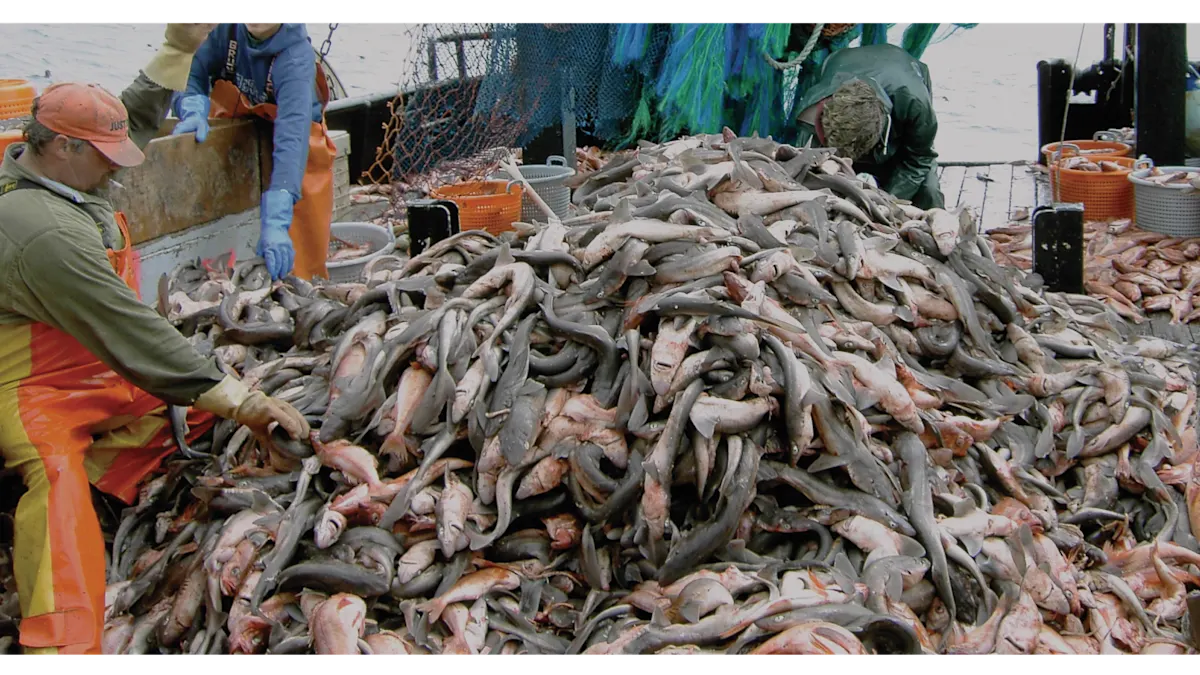 Industrial Fishing
