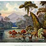 Trees and flowers, Ibn Battutah