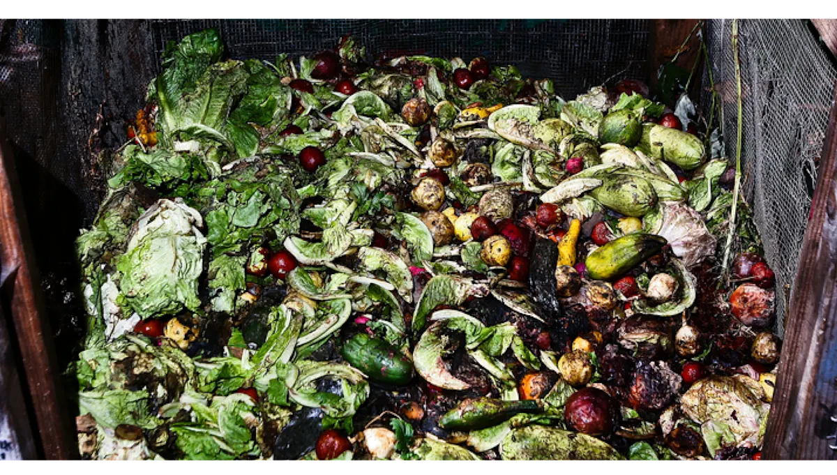 reduce food waste images - rotting food in dumpster
