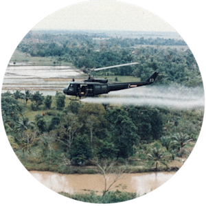 Ecocide in the Vietnam War