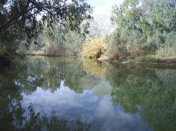 Spanish Wastewater Spill in Guadiamar River