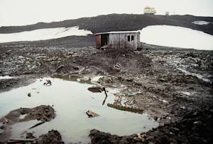 Black carbon pollution in Antarctica