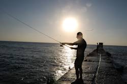 Promising decline in overfished stocks in Mediterranean