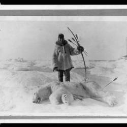 Inuit Legend of Nanuk