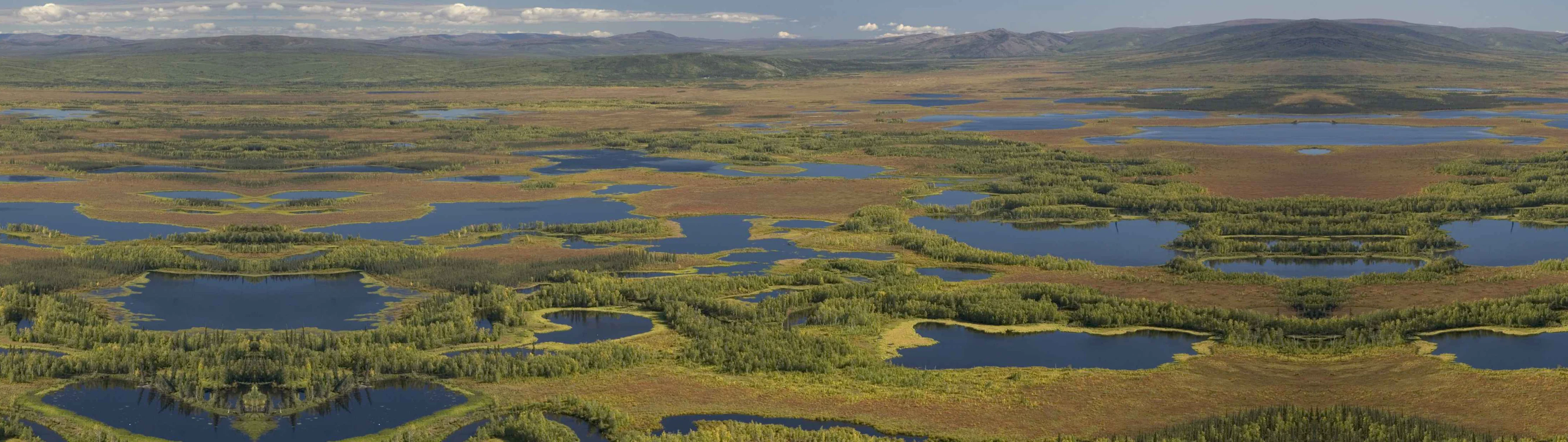 Solutions Hero Image Restore Inland Wetlands and Peat