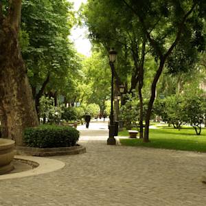 Madrid, a new green lung
