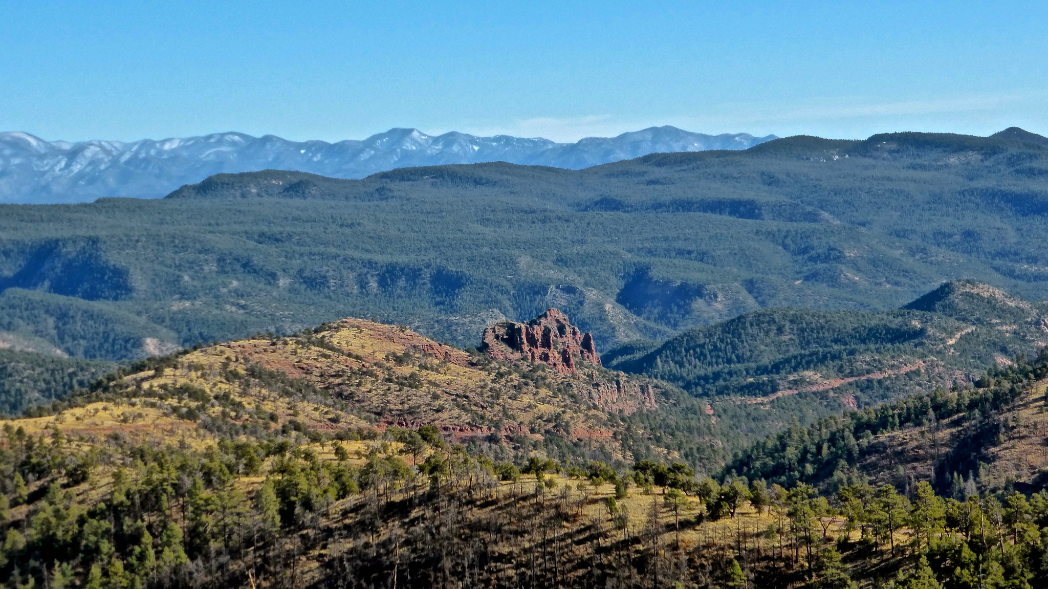 Four Forest Restoration Initiative Four Forest Restoration Initiative