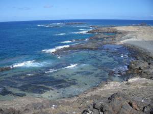 Parks & Reserves: Selvagens Islands Marine Protected Area