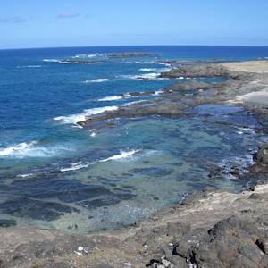 Parks & Reserves: Selvagens Islands Marine Protected Area