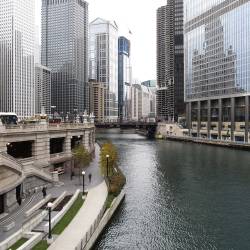 Re-wilding The Chicago River