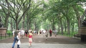 New York City, most walkable in US