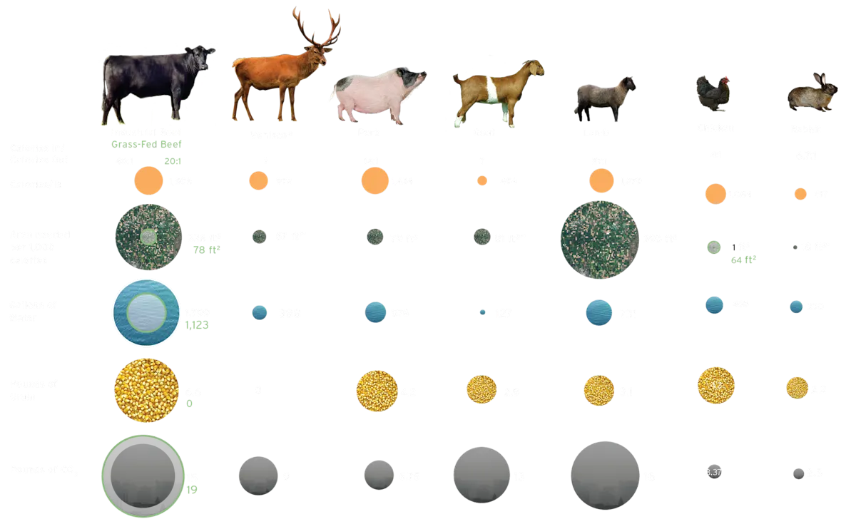 Eat Lower Down the Food Chain - to produce one pound of meat infographic