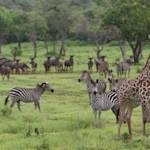 Selous Game Researve
